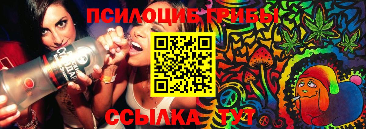 Псилоцибиновые грибы Cubensis  Вход с VPN  Чапаевск 